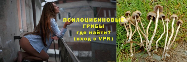 каннабис Беломорск