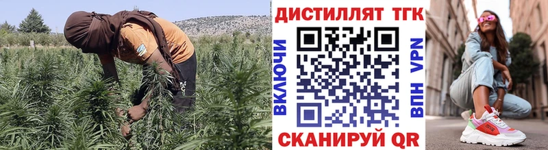 ТГК гашишное масло  ссылка на мегу как войти  Кохма 