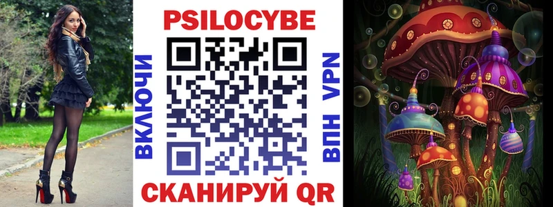 Галлюциногенные грибы Psilocybe  Кохма 